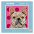 15cm x 15cm French Bulldog Dog Tapestry Kit